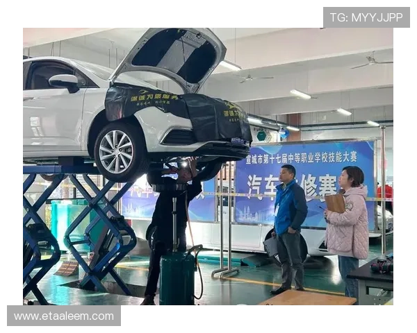 星空电子体育：推动电竞教育与职业发展的新力量