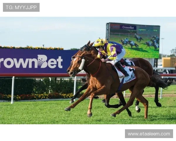 新皇冠体育下载:全面介绍平台特色功能与使用技巧,提升您的体育娱乐体验