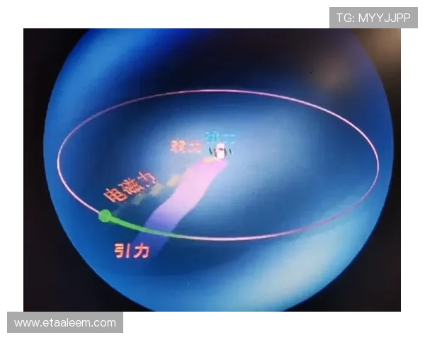 星空体育中国官网：深入了解体育健康管理与运动科学的专业知识分享
