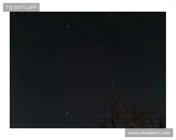 星空体育体育：在星光点缀的夜空中锻炼身体，体验不同寻常的运动乐趣与放松心情