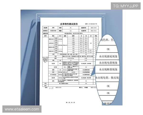 mk体育怎么样最新评价,用户真实体验全面分析