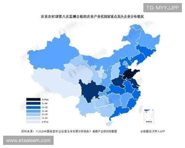提升ued体育平台用户粘性的实用策略与市场竞争优势分析