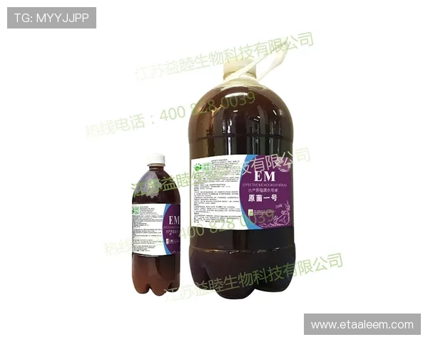 星空体育中国官网：全面介绍及最新赛事动态解析