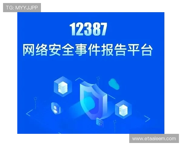星空体育平台官方入口安全性分析，保障用户账号信息安全与隐私保护