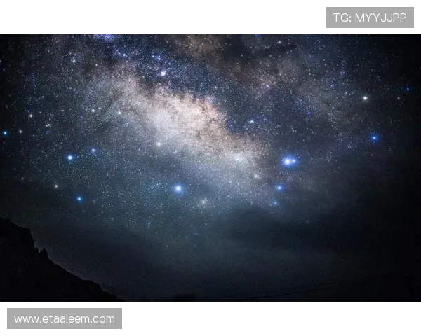 星空官网登录入口确保安全，不一样的登录体验等待你的发现
