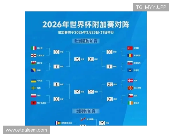 2026年世界杯瑞典VS突尼斯比赛技术统计对比分析助你深入了解比赛细节
